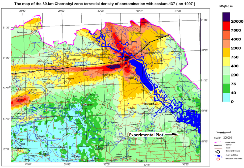 La ubicación de la parcela experimental donde se cultivó el grano utilizado para producir el vodka. El mapa es de 1997, y muestra la distribución del cesio radiactivo en la zona de exclusión.Imagen: Ukraine Institute of Agricultural Radiology